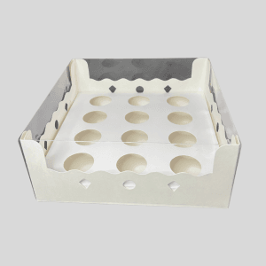 Caja Berrylicious (12 piezas)