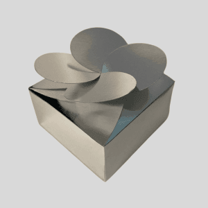 Caja Regalo (25pzs)
